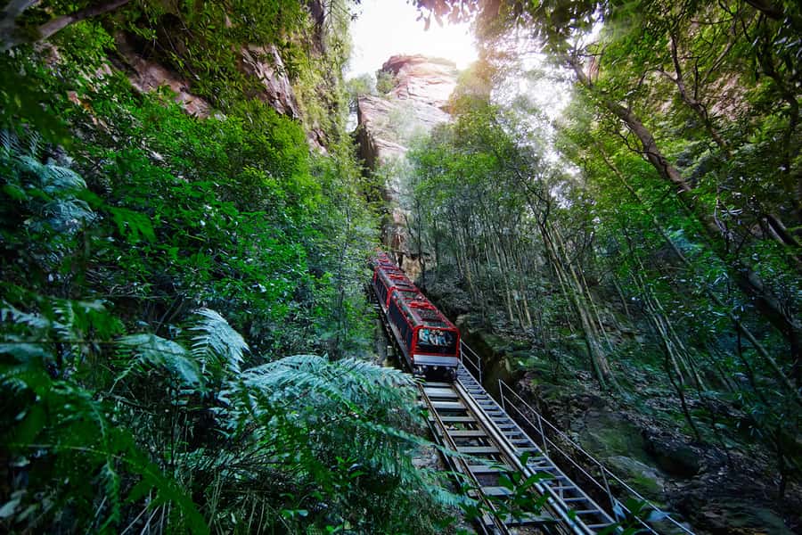 Katoomba: Scenic World 1-Day Unlimited Discovery Pass - Scenic Cableway: treetop-to-clifftop thrills without the workout plan