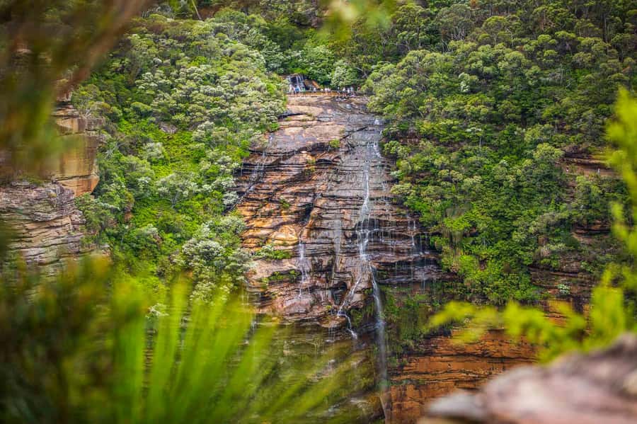 Luxury Blue Mountains Escape The Crowds Tour - A calmer Blue Mountains day in the Mercedes V-Class