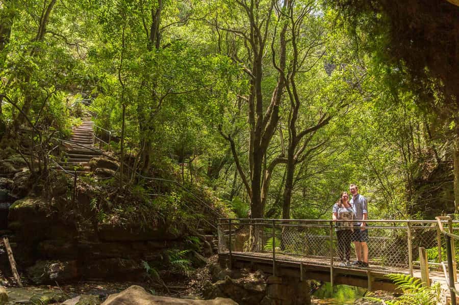 Luxury Blue Mountains Escape The Crowds Tour - Lower Blue Mountains coffee break and scenic viewpoints