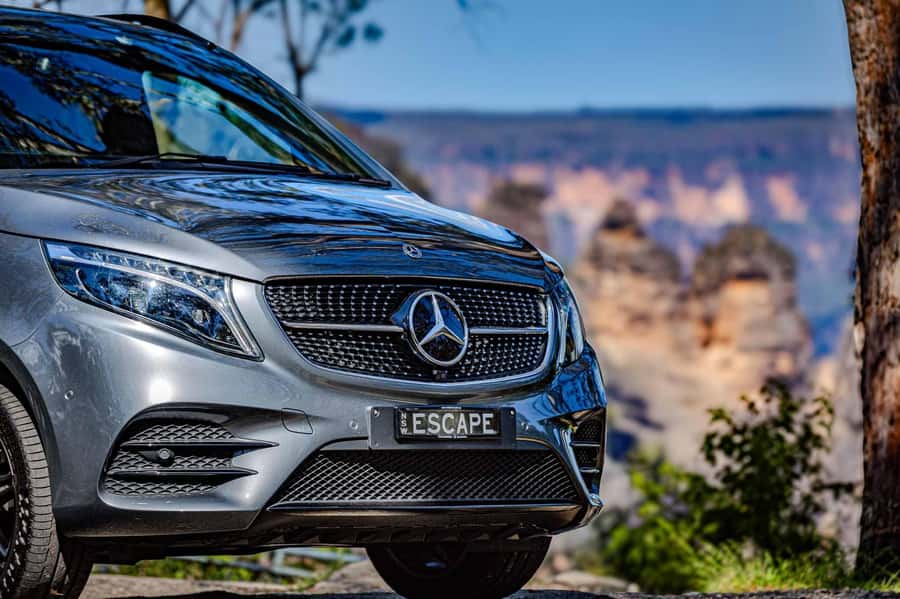 Luxury Blue Mountains Escape The Crowds Tour - Small group vs private: what “no other passengers” changes