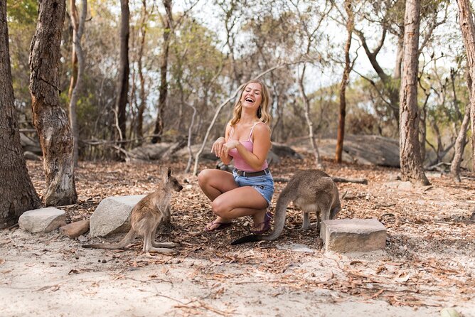 Luxury Hunter Valley Wildlife & Wine Tasting Tour from Sydney - Who this Hunter Valley wildlife-and-wine tour fits best