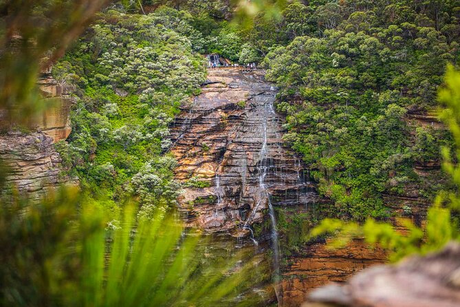 Luxury Small Group of 5 Blue Mountains Escape Tour - A 5-Person Blue Mountains Day in a Mercedes V-Class