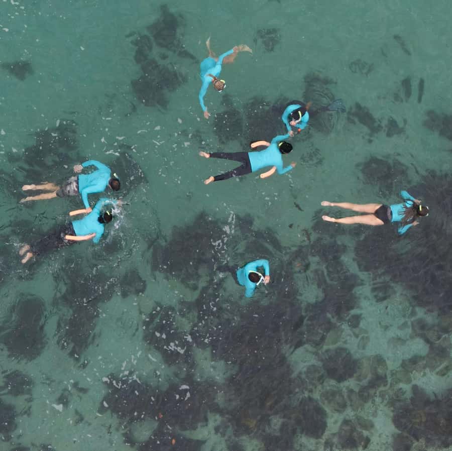 Manly Beach Guided Snorkeling Tours - Gear that makes or breaks comfort (and what’s provided)