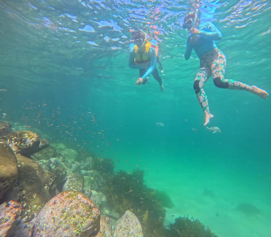 Manly Beach Guided Snorkeling Tours - Meeting at Shelly Beach: finding the tour without stress