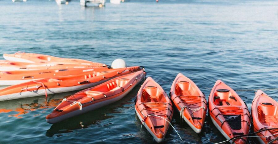 Manly: Mini Kayak Tour on Sydney's North Harbour - Why this North Harbour mini kayak tour is so good for first-timers