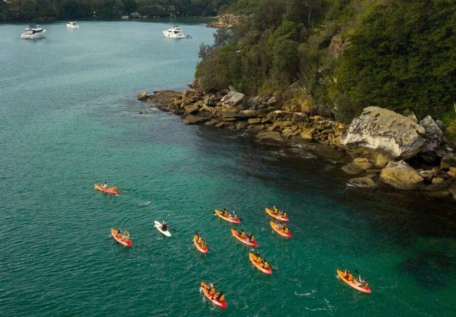 Manly: Mini Kayak Tour on Sydney's North Harbour - Price and value: $43 for 90 minutes, kayak plus instruction plus a lookout walk