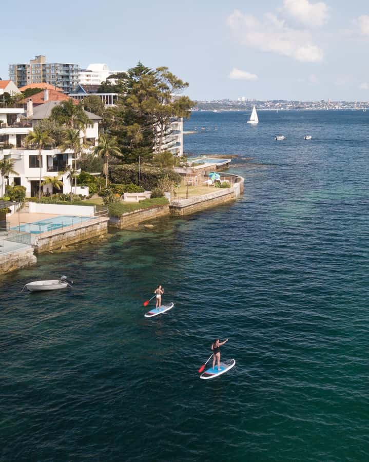 Manly Stand Up Paddle Board Hire - Manly North Harbour: the setting that makes a 2-hour SUP feel like more