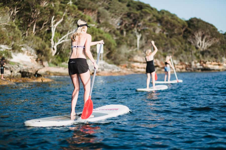 Manly Stand Up Paddle Board Hire - What you do during the 2-hour paddle route in North Harbour