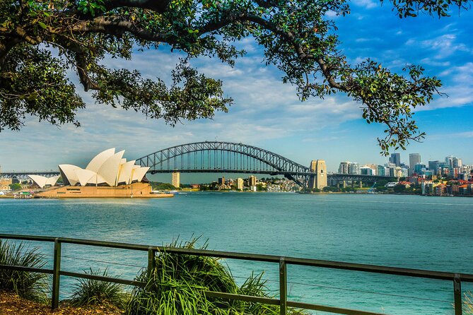 Morning or Afternoon Half-Day Sydney City Sightseeing Tour - Centennial Park: a quick breather in the middle of the circuit