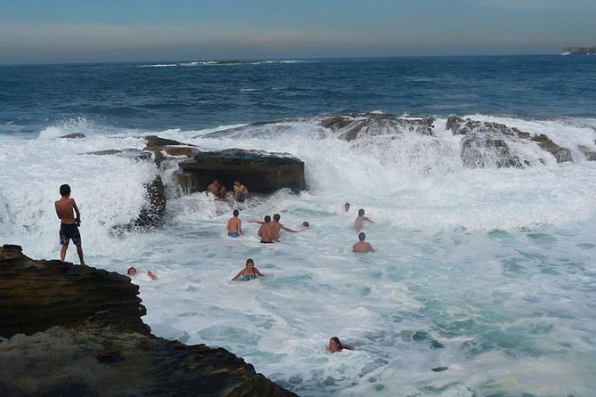 Morning or Afternoon Highlights Tour in Sydney with a Local Guide - A 4-Hour Sydney Sampler That Actually Gives You Direction