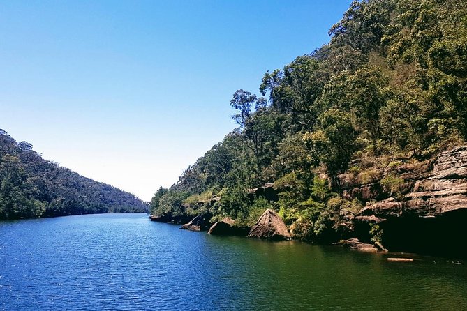 Morning Paddlewheeler Cruise in the Gorge - Price and Value: Is $34.43 Worth It?