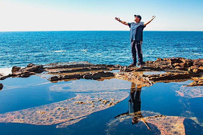 Nature and Wildlife: Australia in One Day - Private Tour - Walkabout Wildlife Sanctuary for koalas and kangaroos (the day’s highlight)