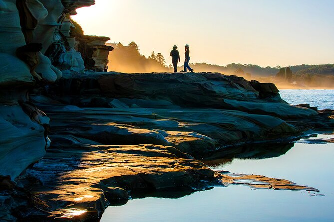Nature and Wildlife: Australia in One Day - Private Tour - Bats at Warrah Lookout and flying-fox time near dusk (optional but memorable)