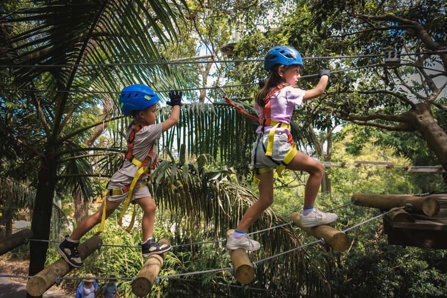Pennant Hills: Junior Tree Ropes Course - Five junior courses and how the 150 minutes usually feels
