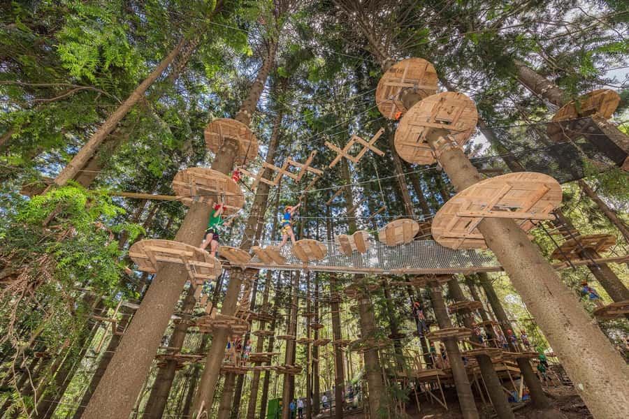 Pennant Hills: Tree Ropes Course Session - Key highlights at Treetops Adventure The Hills