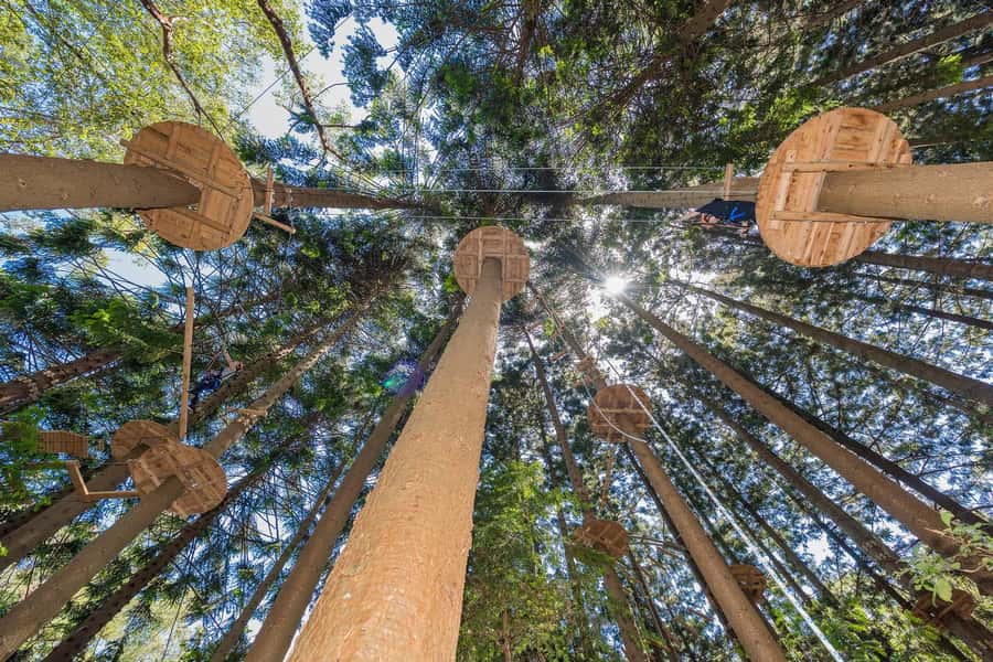 Pennant Hills: Tree Ropes Course Session - Safety briefing and gear: what you’re relying on up there