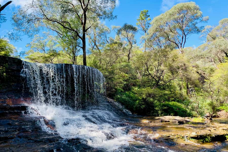 Personalised Blue Mountains Tour: Luxury Vehicles & Insights - How the Flexible Schedule Lets You Trade Walking for Views