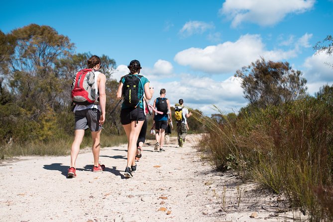 Pittwater Discovery Kayaking Tour - Who should book this (and who should think twice)