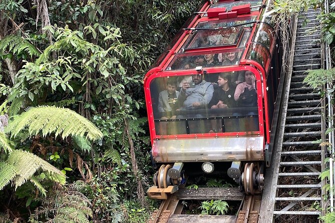 PJ Blue Mountains Supreme [Private Charter] - Sydney Zoo stop: Australia animals in an open-range style