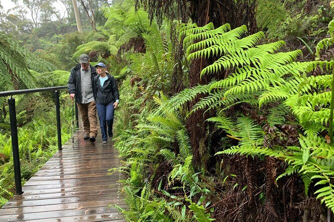 PJ Blue Mountains Supreme [Private Charter] - Leura Village free time: shops, gardens, and lunch you choose
