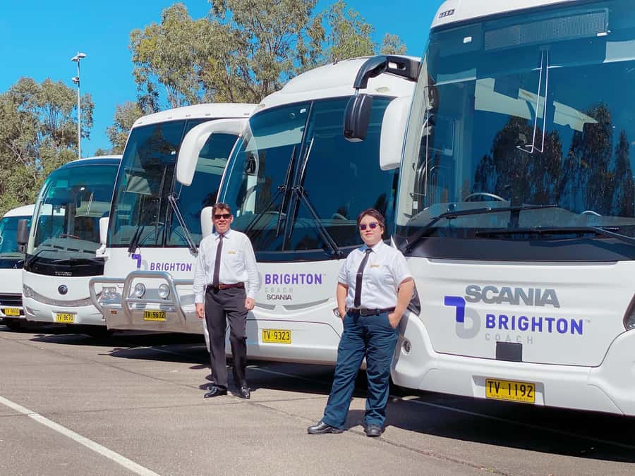 Port Stephens: Dolphin Cruise, Lunch, Koalas & Sandboarding - Should You Book Port Stephens Dolphin Cruise, Lunch, Koalas & Sandboarding?