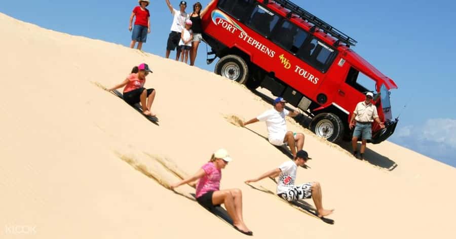 Port Stephens: Dolphin, Lunch, Koalas&Sandboarding -Mandarin - How the 12-hour Port Stephens plan really flows