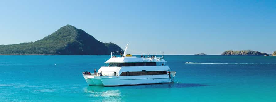 Port Stephens: Dolphin, Lunch, Koalas&Sandboarding -Mandarin - Dolphin Discover cruise in Port Stephens: what to expect on the water