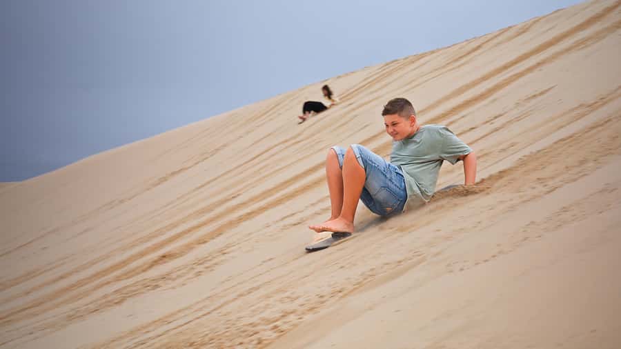 Port Stephens: Dolphin, Lunch, Koalas&Sandboarding -Mandarin - Stockton Dunes 4WD + sandboarding: the main event