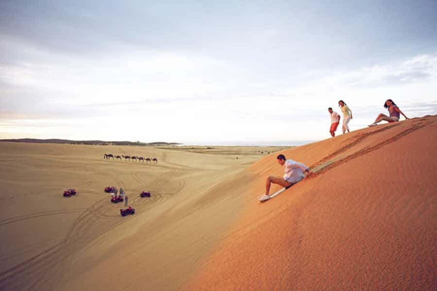 Port Stephens: Dolphin, Lunch, Koalas&Sandboarding -Mandarin - Sydney to Nelson Bay: the long ride that sets the day