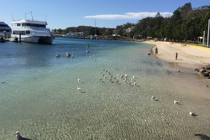 Port Stephens Private Tour From Sydney, with Dolphin/ Whale Cruise Options - Lunch at Nelson Bay Bowling and Recreation Club, Plus Little Beach Photos