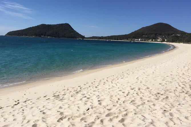 Port Stephens Private Tour From Sydney, with Dolphin/ Whale Cruise Options - Who This Tour Suits Best (and Who Might Skip It)