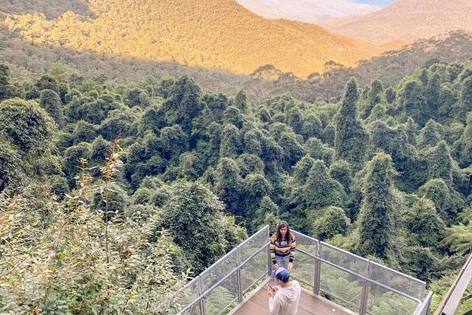 Private All Blue Mountains Day Tour - Who This Tour Fits Best: Families, Accessibility Needs, and View-Seekers