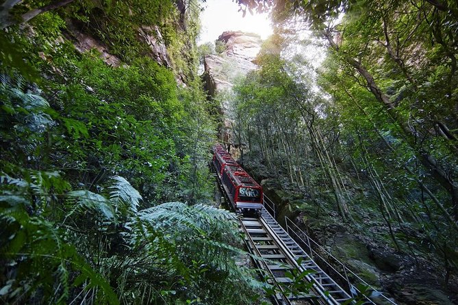 Private All Blue Mountains Day Tour - Echo Point and Cahill’s Lookout: Three Sisters Photos and Canyon Views