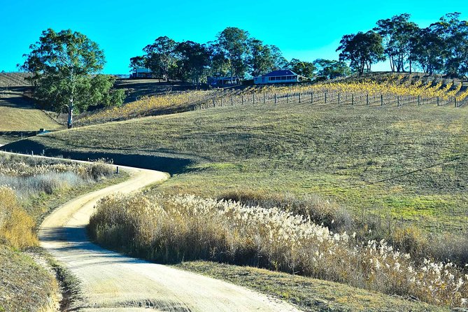 Private Blue Mountains and Winery Day-Trip from Sydney - Scenic World add-on: when you should pay extra