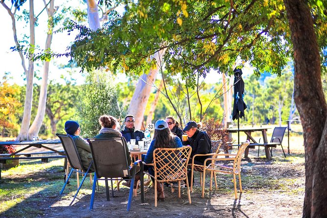 Private Blue Mountains and Winery Day-Trip from Sydney - Wentworth Falls lookout: the kind of view that rewards the climb