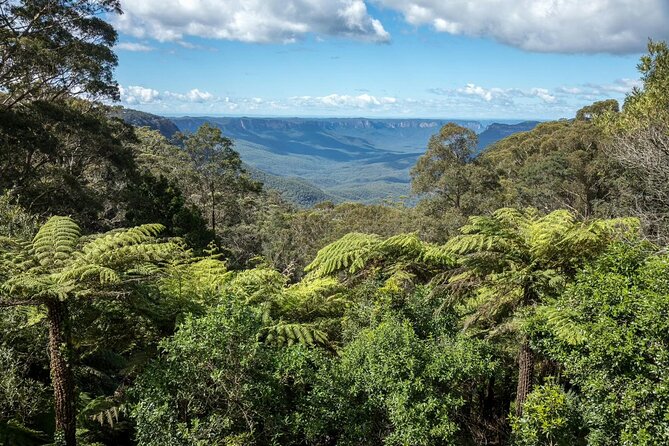 Private Blue Mountains Day Tour (avoid the crowds) - Scenic World at Violet Street: the rides are optional, but the views are not