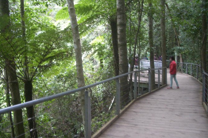 PRIVATE Blue Mountains day tour with local guide. - Blue Mountains main viewpoints: how the day sets your pace