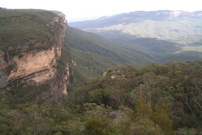 PRIVATE Blue Mountains day tour with local guide. - Scenic World add-on: when it’s worth paying extra