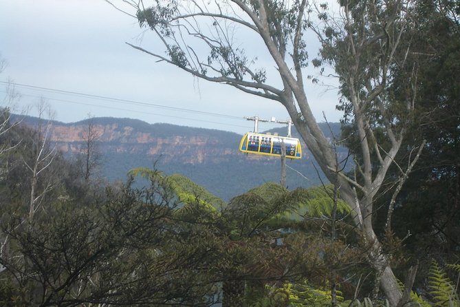 PRIVATE Blue Mountains day tour with local guide. - The best first stop: Featherdale Wildlife Park (and why it’s placed early)