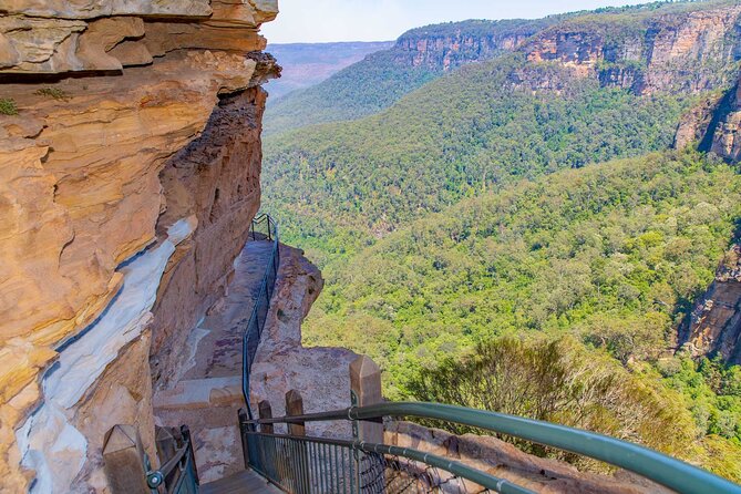 Private Blue Mountains Escape The Crowds Mercedes Tour - Mercedes-style comfort and the real-world vehicle expectations