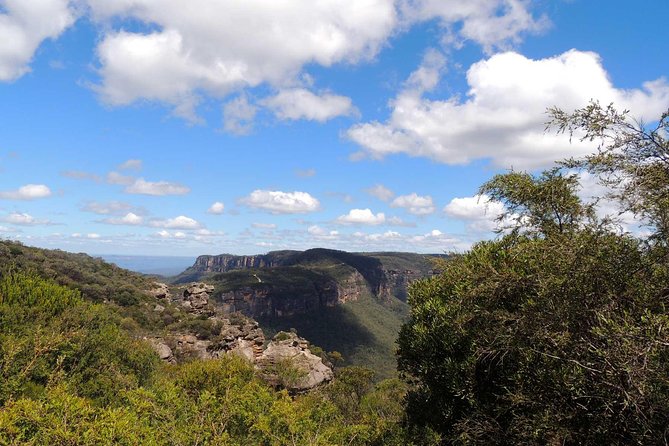 Private Blue Mountains Insider Tour from Sydney - The Blue Mountains Drive Along The Jamison Valley