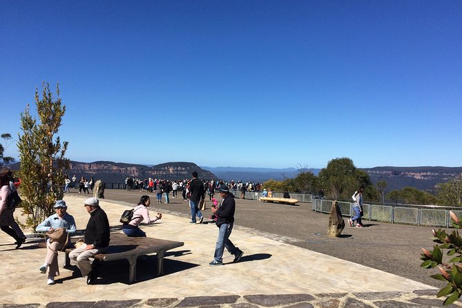 PRIVATE Blue Mountains tour & Koalas, Kangaroos, Cruise plus more - Private Blue Mountains morning: pickup, comfort, and a real guide