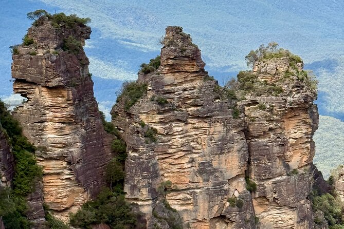 PRIVATE Blue Mountains tour & Koalas, Kangaroos, Cruise plus more - Scenic World: viewpoint access included, rides cost extra