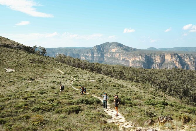 Private Blue Mountains Tour | Waterfalls, Koalas & Views - Luxury pickup and the 8–9 hour reality check