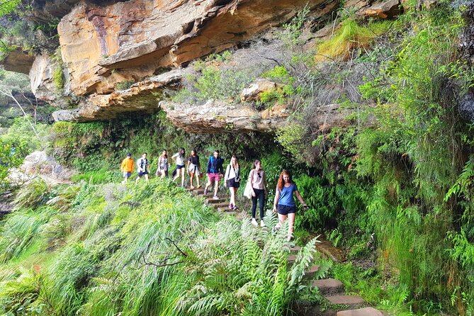 PRIVATE Blue Mountains Tour, Wildlife Park and River Cruise - Leura and Katoomba villages: a break that’s not just window shopping