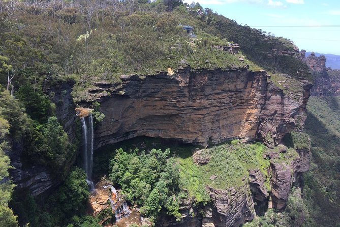 PRIVATE Blue Mountains Tour, Wildlife Park and River Cruise - Wildlife park stop: koalas and more without wasting time