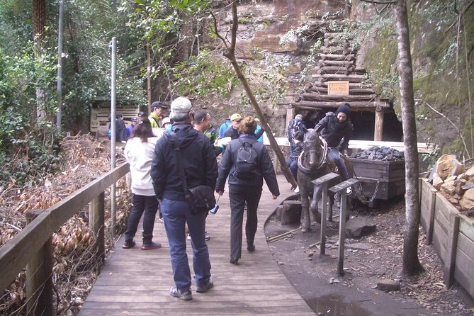 PRIVATE Blue Mountains Tour with Expert Guide - The Three Sisters Moment (and the Boar’s Head Stop)