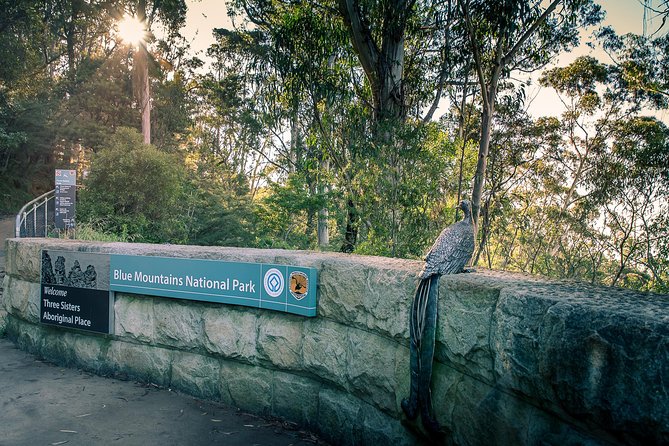 PRIVATE Blue Mountains Wilderness & Wildlife Late Start Tour - Calmsley Hill City Farm: kangaroos and a koala VIP moment