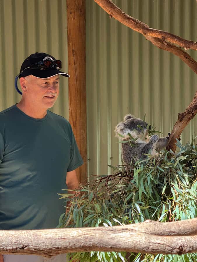 Private BlueMountains, ScenicWorld & AustralianWildlife Tour - Scenic World rides: cableway viewpoints and included transport comforts