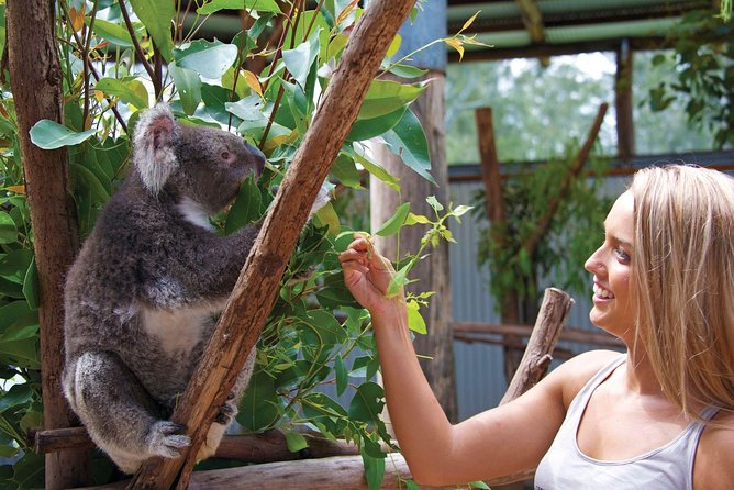 Private Guided Tour: Blue Mountains Tour from Sydney - Why this private Blue Mountains day works so well